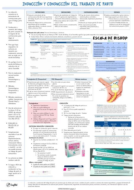 Inducción y conducción del trabajo de parto 