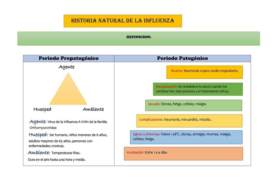 Historia Natural de la Influenza | SASKIA ZHARICK CASTRO PAUCCAR | uDocz