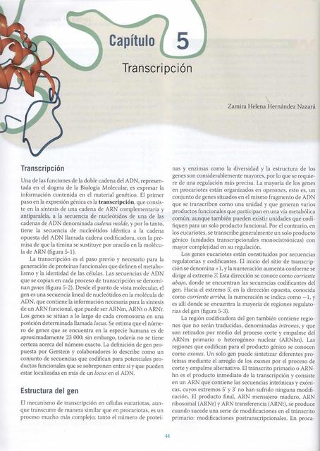 CAP 5 Transcripción