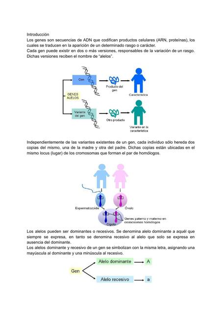 Biología 