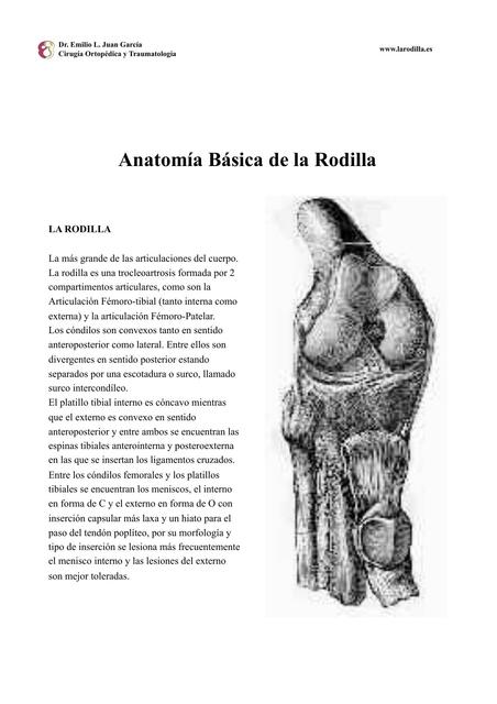 Rodilla 