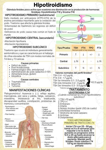 Hipo e hipertiroidismo