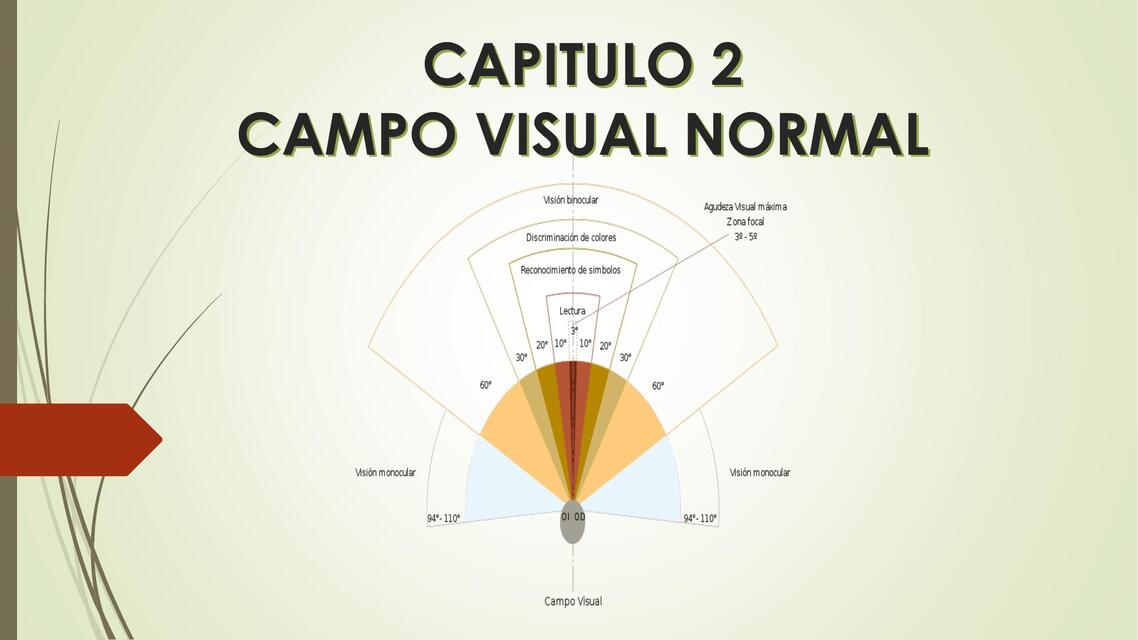 Capitulo 2 campo visual normal 