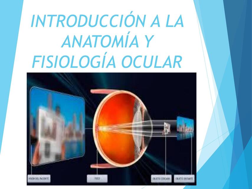 Introducción a la Anatomía y Fisiología Ocular 