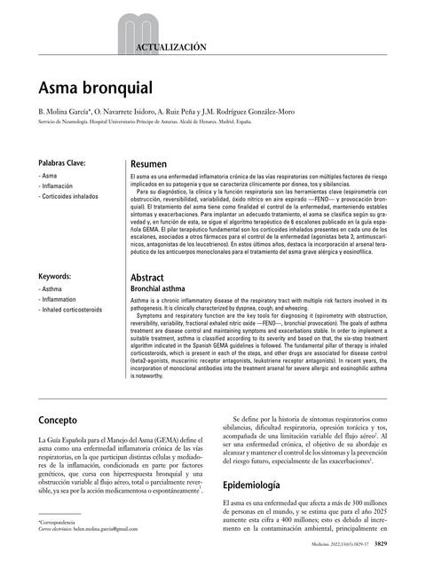 Asma Bronquial