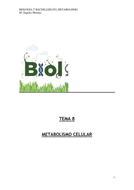 Metabolismo celular 