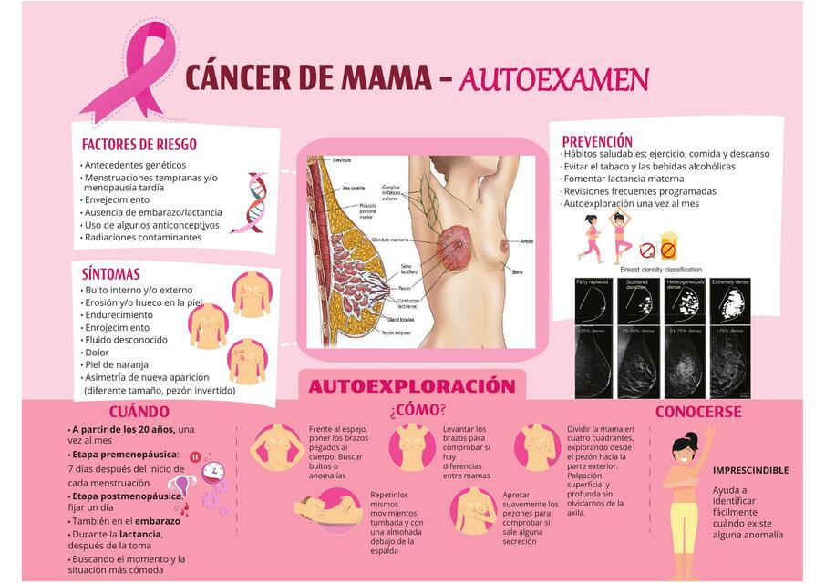 Cáncer de mama 