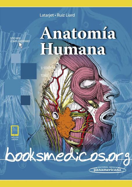 Anatomía Humana 