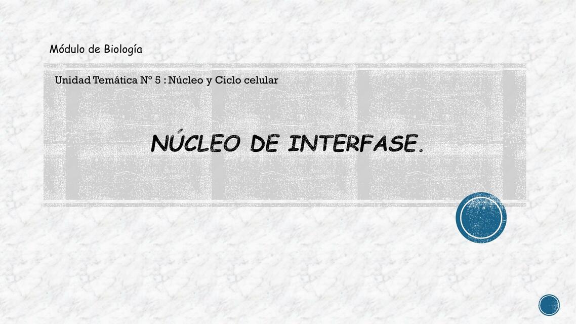 Biologia 9 Nucleo Interfase