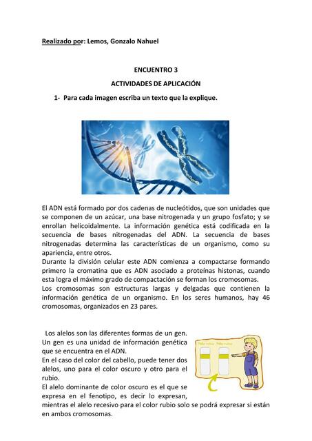 Encuentro 3 : actividades de aplicación 