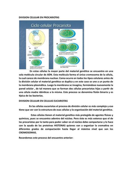 Actividad segundo encuentro