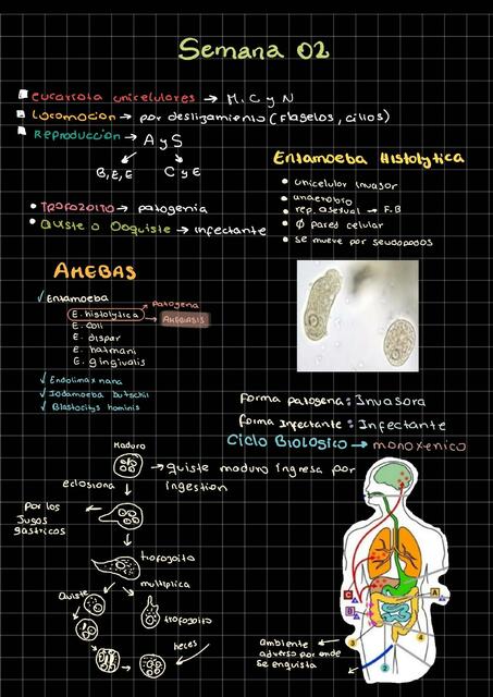 Parasitología 