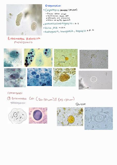 Parasitología