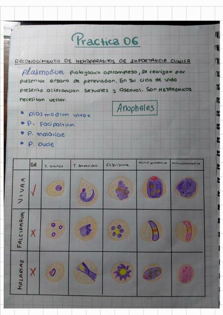 Reconocimiento de Hemoparásitos de Importancia Clínica 