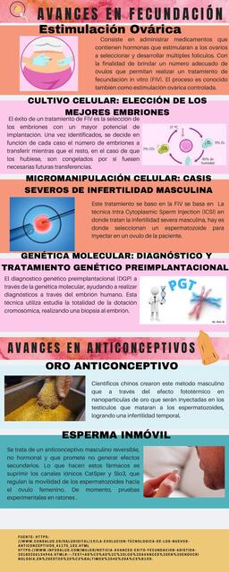 Fecundación y Anticonceptivos