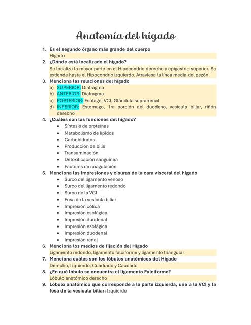 Anatomía del Hígado 