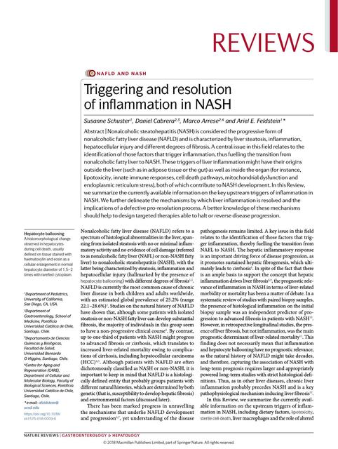 Triggering and resolution of inflamation in nash