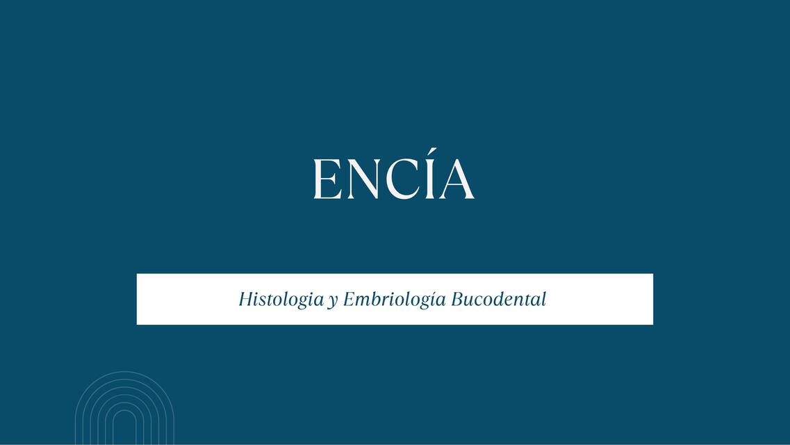 Encía 