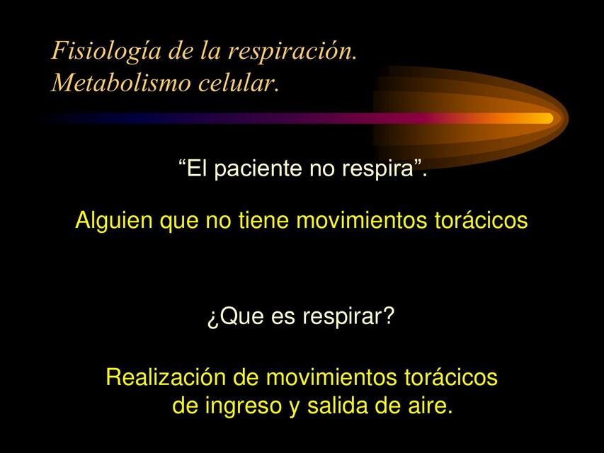 Fisiología de la respiración 