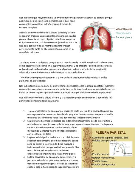 Medicina