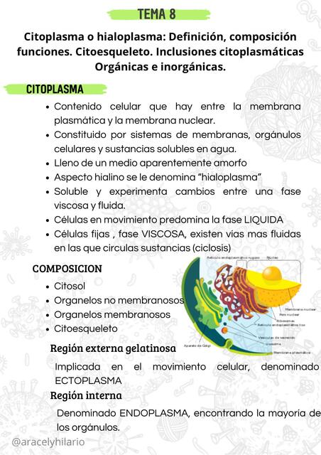 CITOPLASMA O HIALOPLASMA