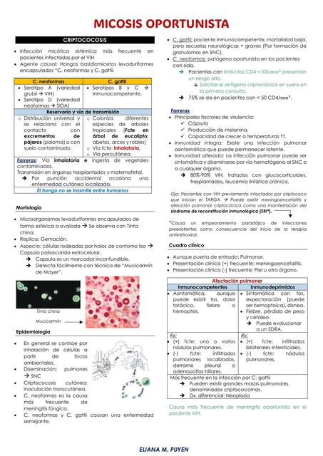 CRIPTOCOCOSIS MICOSIS OPORTUNISTA