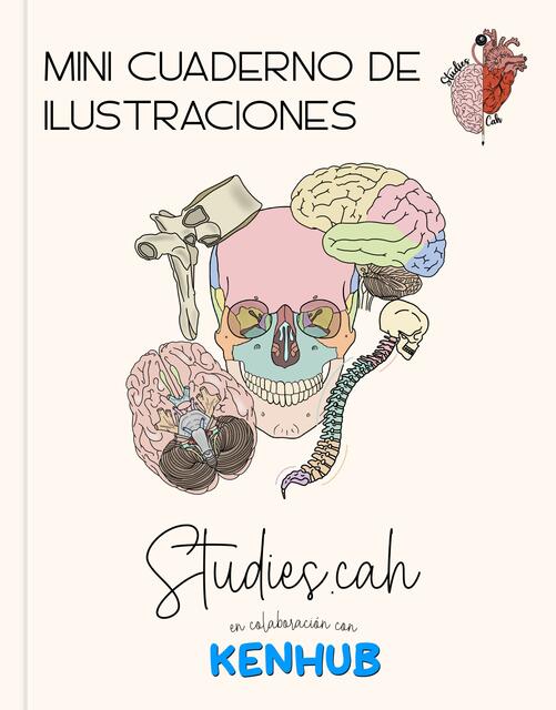 Mini cuaderno de ilustraciones anatomía 