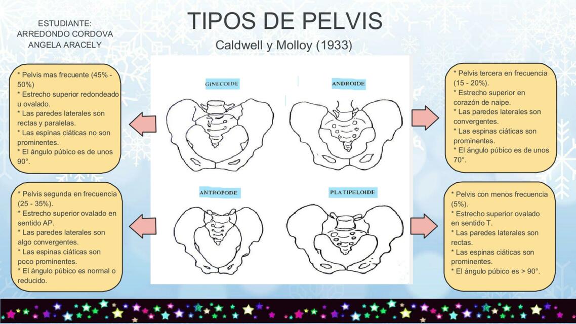 Tipos De Pelvis INERVACI N DE LA PARED P LVICA Dolopedia