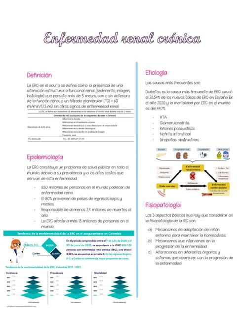 Enfermedad Renal Crónica 