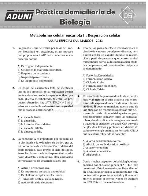 Metabolismo celular eucariota II: Respiración celular 