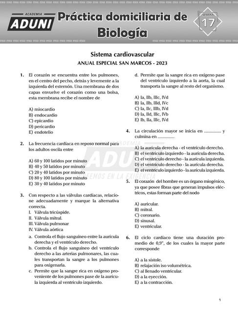 Sistema cardiovascular