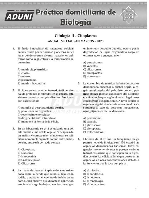 Citología II - Citoplasma