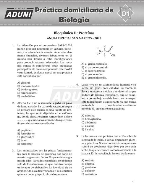 Bioquímica II: Proteínas