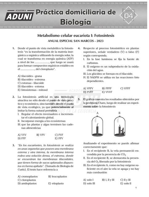 Metabolismo celular eucariota I: Fotosíntesis