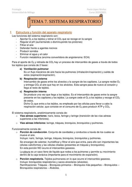 Fisiología del Sistema respiratorio