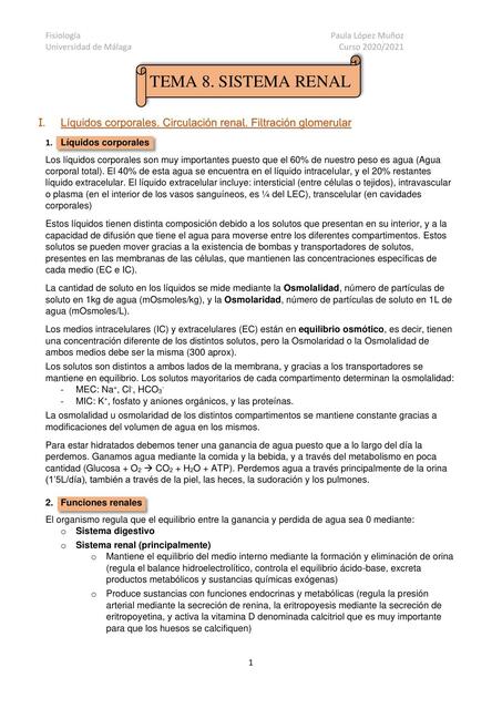 Fisiología del Sistema renal