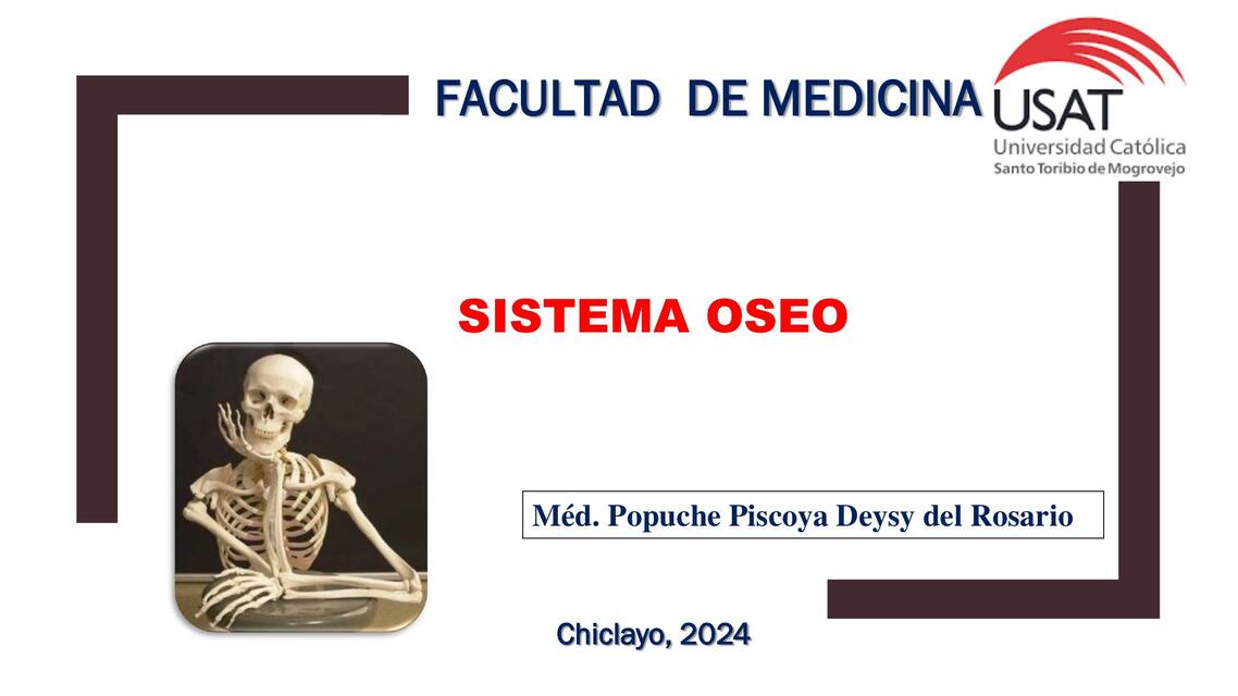 Sistema óseo 