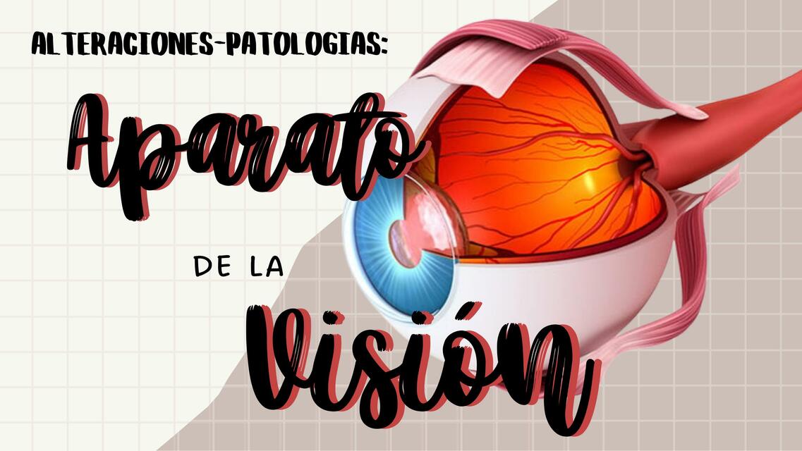 Aparato de la visión 