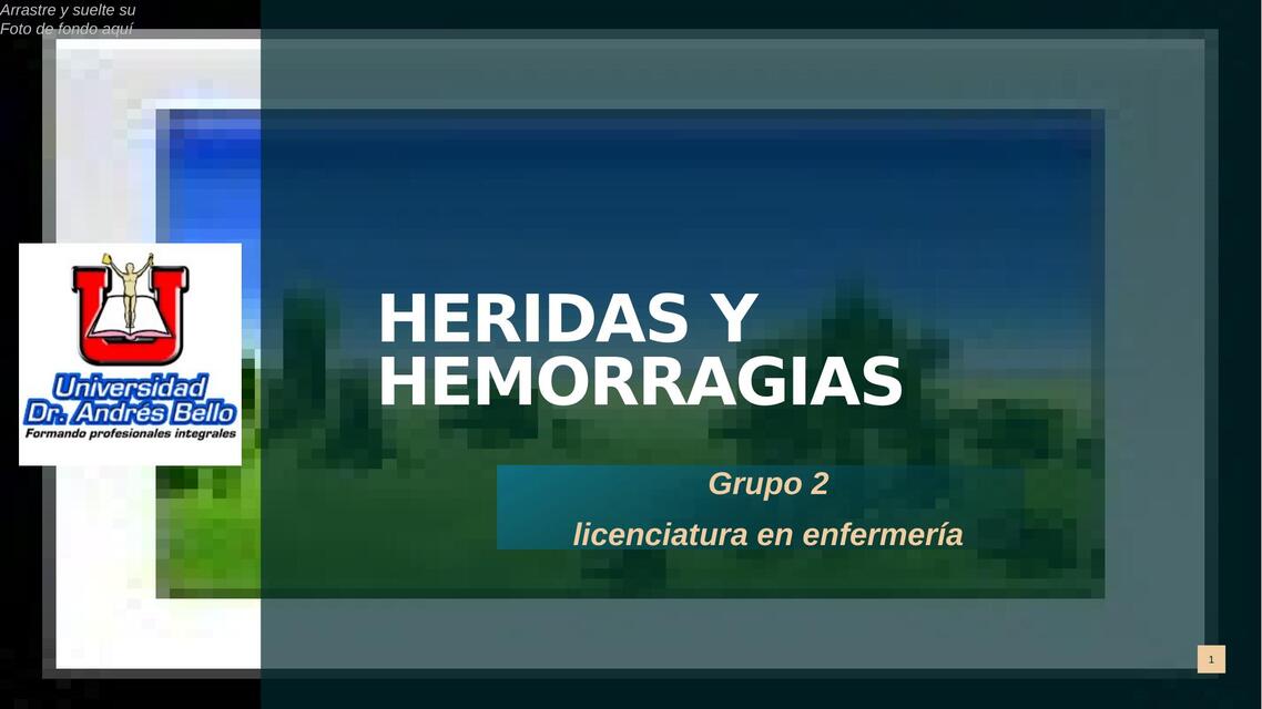 Heridas y hemorragias 