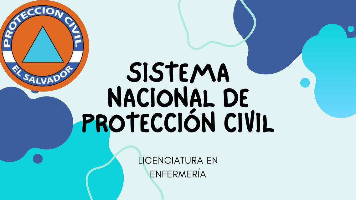 Sistema nacional de protección civil 