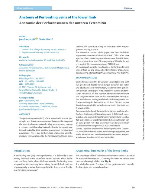 Anatomie veins perforating