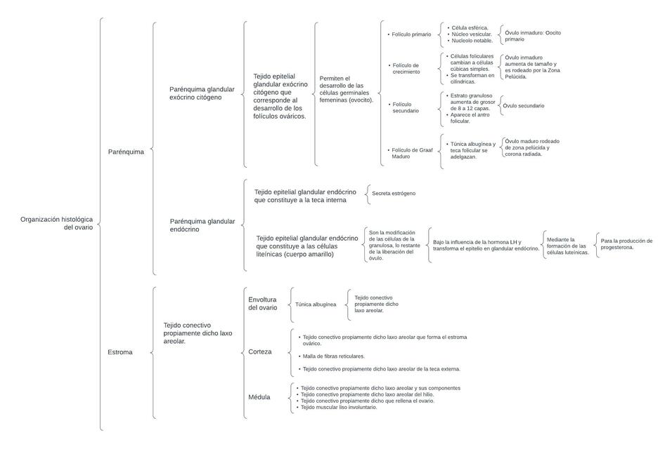 Organización histológica del ovario 