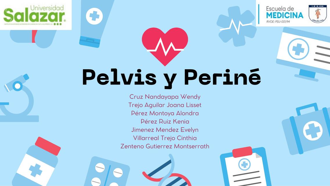 Pelvis y periné 