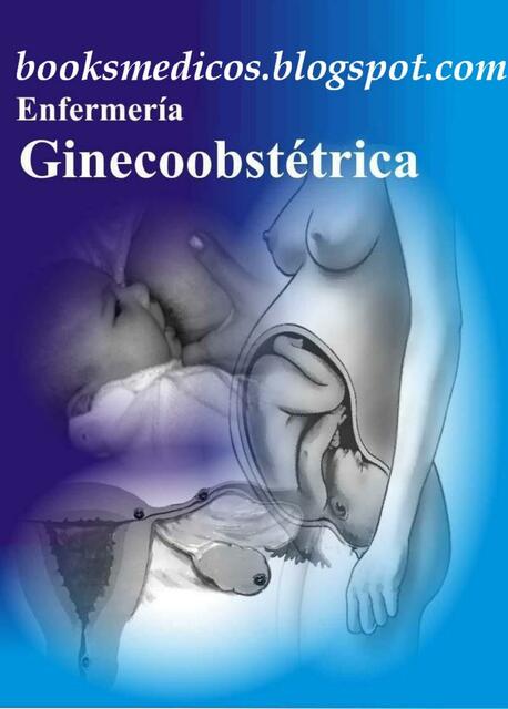 Enfermeria Ginecoobstetrica 