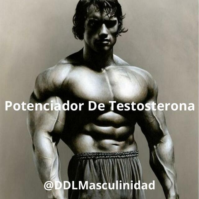 Potenciador de Testosterona 