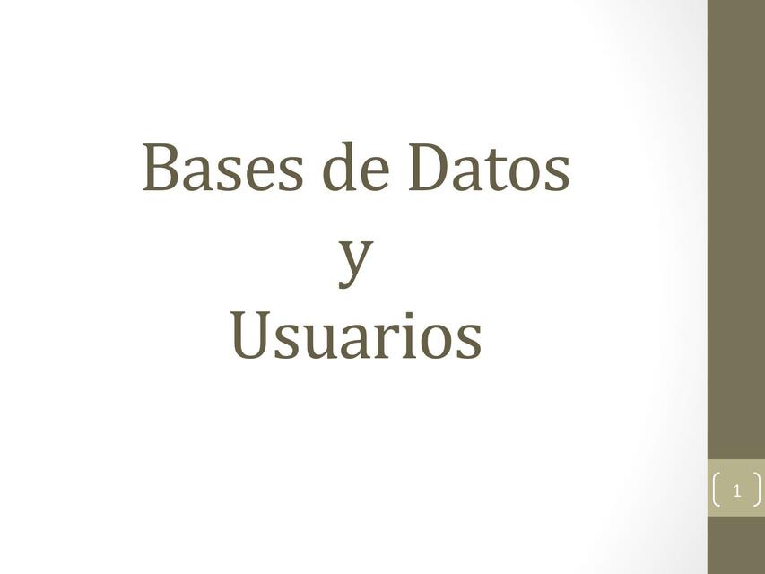 Base de Datos y Usuarios 