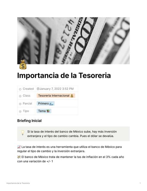 Importancia de la Tesoreria