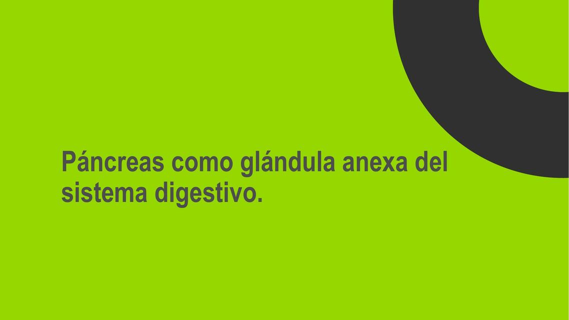 Páncreas como Glándula Anexa del Sistema Digestivo