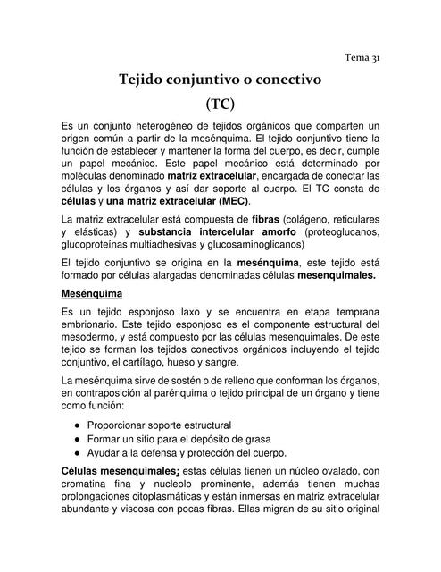 Tejido Conjuntivo o Conectivo