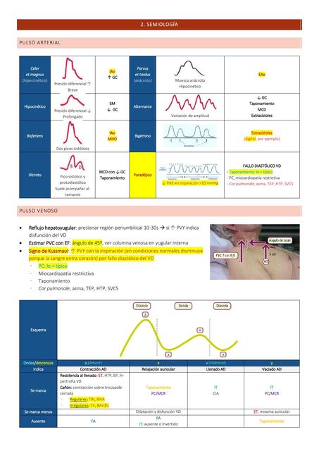 Semiología cardiovascular